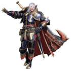Selva, Commander of the Chevaliers