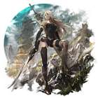A2