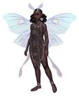 Daa'ima Moth People