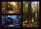Rainforest Sketches