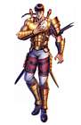 Nameless Shura Sand Spider