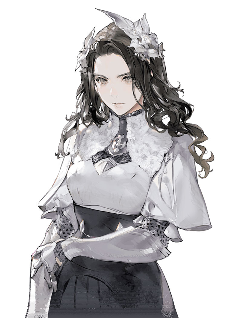 Catherine Art from The DioField Chronicle