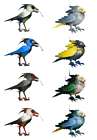 Birds