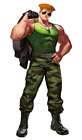 Guile Artwork