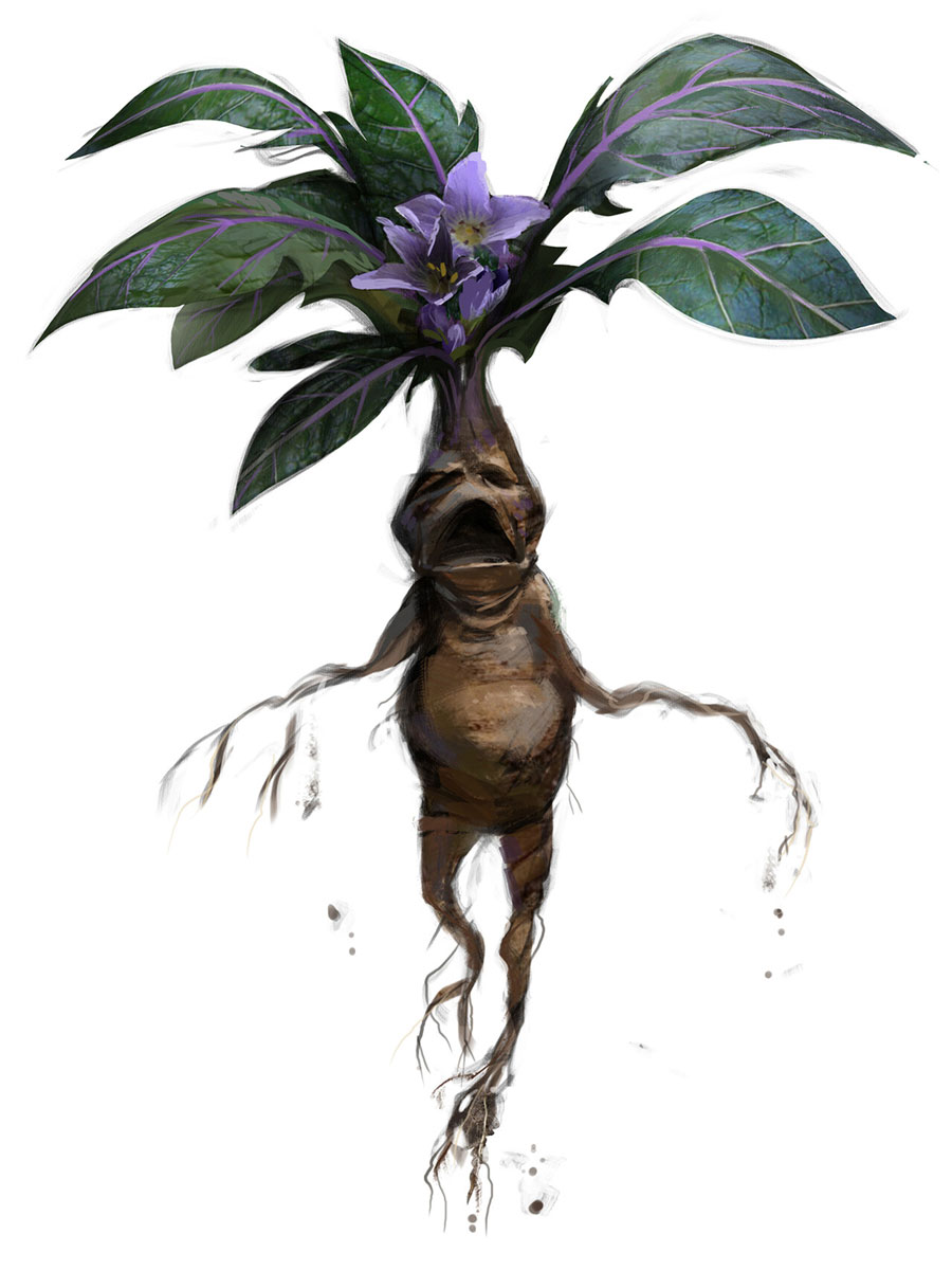 Mandrake Concept Art from Hogwarts Legacy