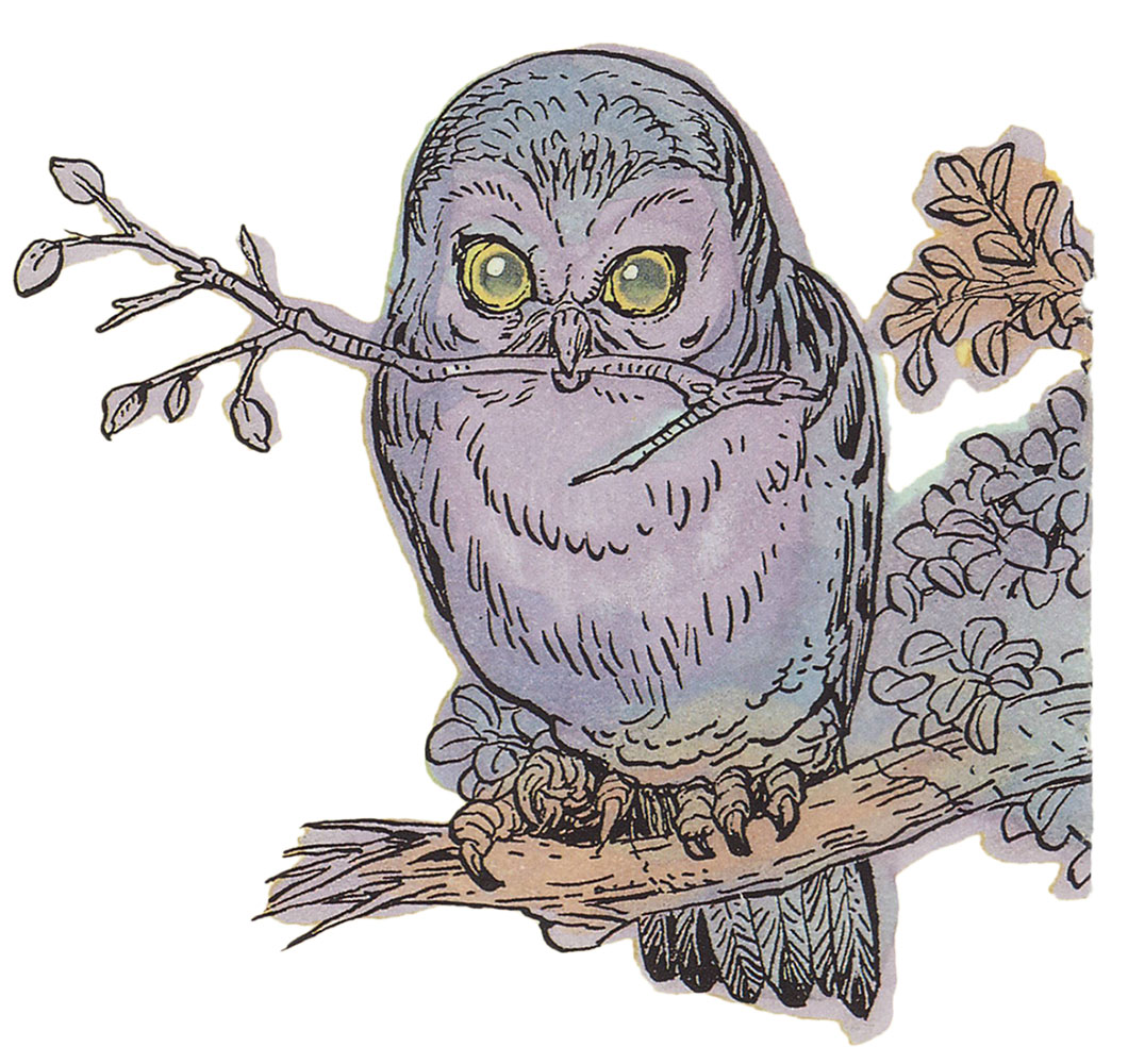 Owl Illustration from The Legend of Zelda: Link's Awakening