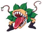 Snap Dragon