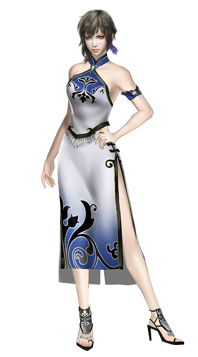 Wang Yi Bonus Costume Art from Dynasty Warriors 9