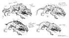 Rhogar Hound Sketches