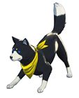 Koromaru Phantom Thieves Costume