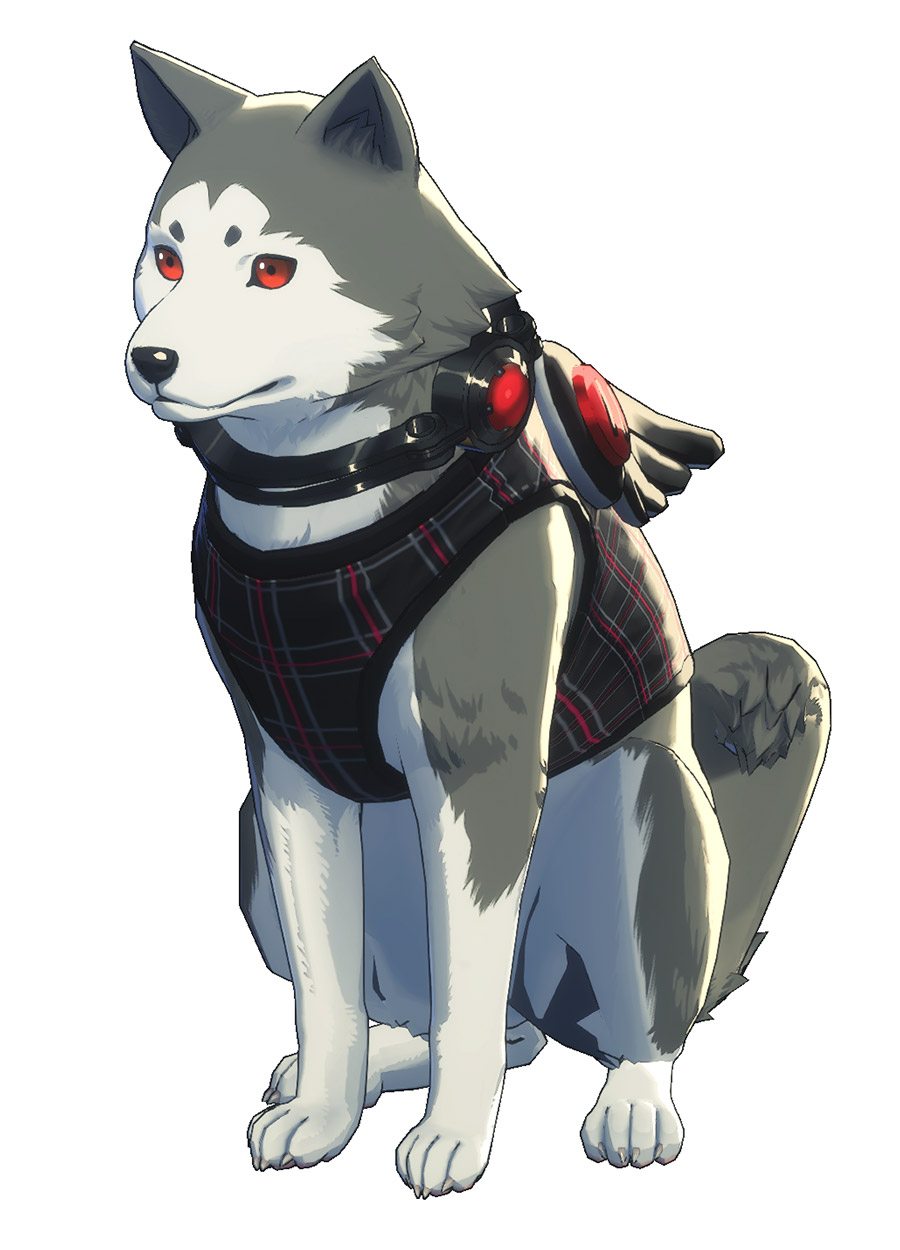 Koromaru Shujin Academy Costume Art from Persona 3 Reload