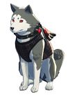Koromaru Shujin Academy Costume