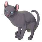 Purr