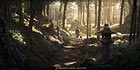 Iga Province Forest Concept Art