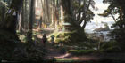 Kii Province Cedar Jungle Concept Art