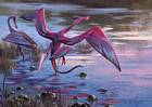 Great Western Tetrapteron