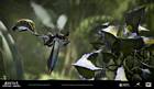 Hellfire Wasp