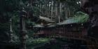 Precepts Forest Concept Artwork