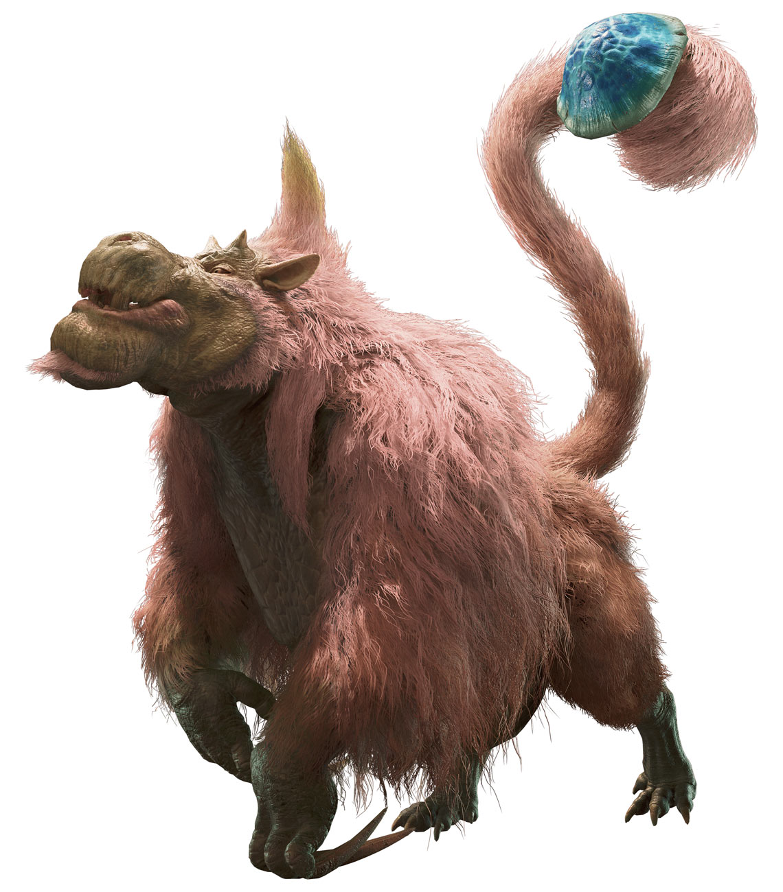 Congalala Art from Monster Hunter Wilds