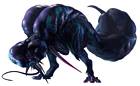 Rompopolo