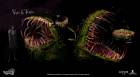 Venus Flytrap Concepts