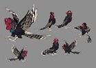 Pheasant Concept Artwork