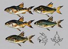 Salmon Concept Artwork
