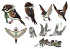 Sparrow Concept Art