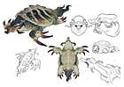 Turtle Concept Art