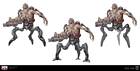 Carcass Concepts