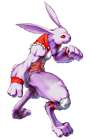 Alice, Rabbit