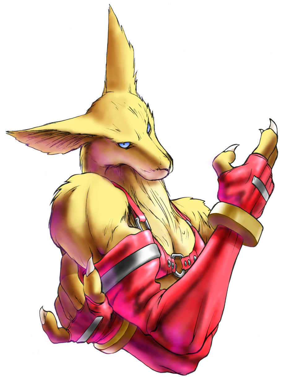 Hans, Fox Portrait Art from Bloody Roar