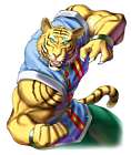 Long, Tiger Portrait