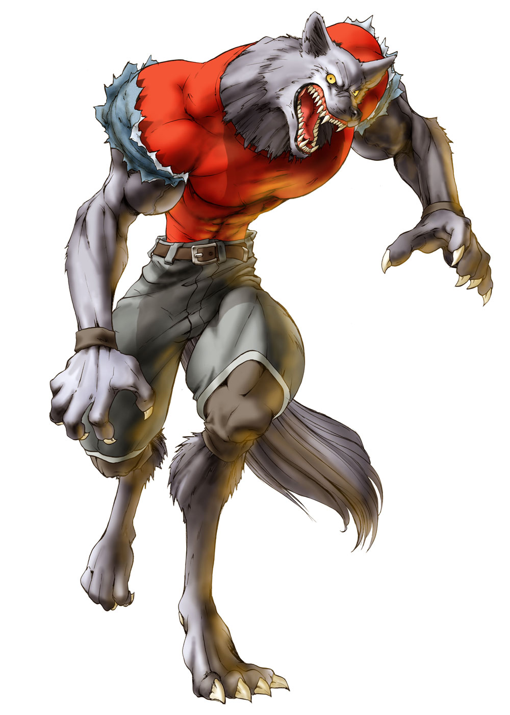 Yugo, Wolf Art from Bloody Roar