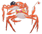 The Crabs