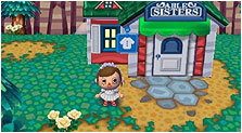 Animal Crossing: City Folk Art & Characters Gallery