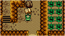 The Legend of Zelda: Oracle of Seasons and Oracle of Ages Art & Characters Gallery